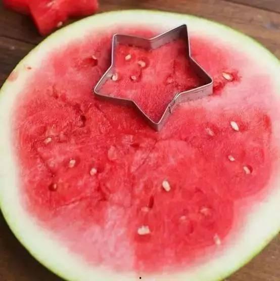 什么动物吃瓜不吐籽,揭秘哪些动物能吃瓜不吐籽