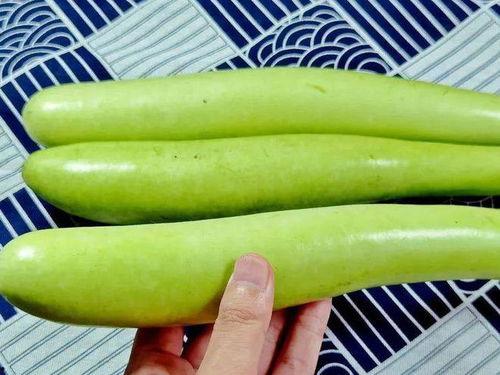 吃瓜指什么,网络热词背后的文化现象