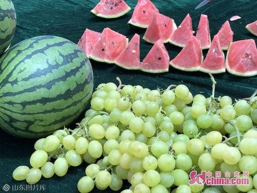 齐鲁吃瓜,吃瓜群众的热议焦点  第2张