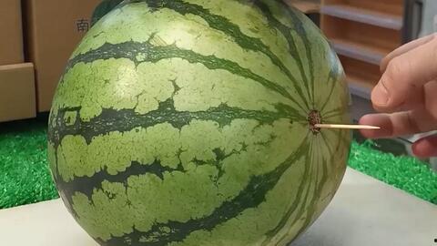 齐鲁吃瓜,吃瓜群众的热议焦点  第3张