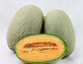 发痧可以吃哈密瓜,夏日清凉食疗新选择