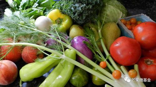 海南土瓜叫凉瓜吗怎么吃,凉瓜的别称,多样食法尽享清爽 第2张 海南土瓜叫凉瓜吗怎么吃,凉瓜的别称,多样食法尽享清爽 第2张