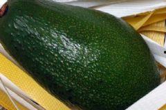 吃网纹瓜反胃,却引发反胃不适，揭秘背后的原因  第2张