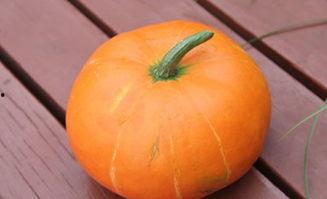 秋式吃瓜,探寻秋式吃瓜的乐趣与风情  第3张