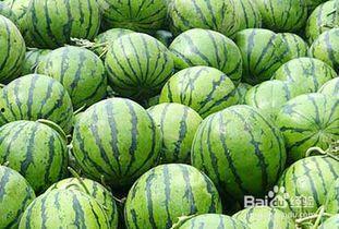 吃瓜上火吃什么药,吃瓜上火后的必备良药指南