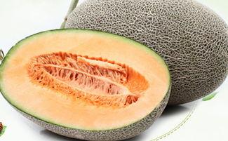 来例假可以吃哈密瓜吗,“经期女性适宜食用哈密瓜吗？”