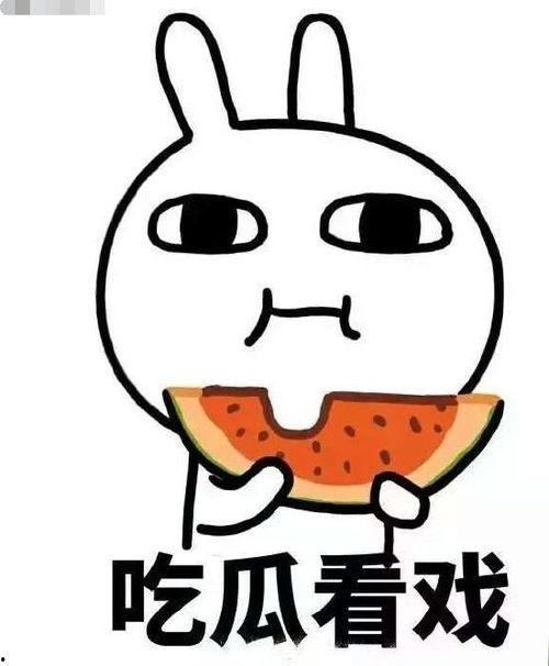 吃皮不吃瓜早晚变麻瓜,揭秘麻瓜逆袭之路