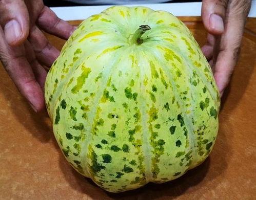 烟台常吃的瓜,探寻烟台特色瓜类美食之旅