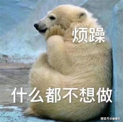 吃瓜群众照片可爱图,吃瓜群众可爱瞬间大盘点