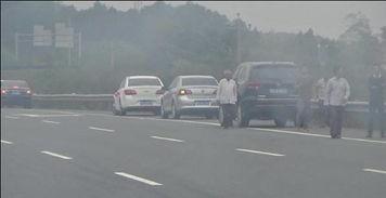 高速吃瓜合集,盘点那些让人笑到肚子疼的瞬间