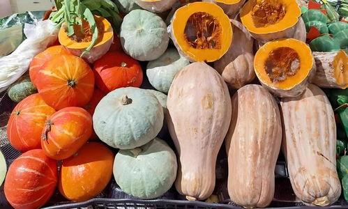 吃方瓜影响血糖