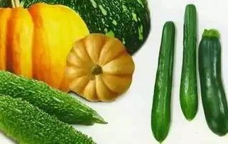 吃瓜黄熙,揭秘娱乐圈背后的真实故事