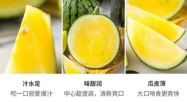沉心吃瓜,揭秘娱乐圈背后的真相