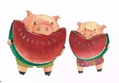 猪吃瓜张嘴,趣味横生的动物食趣瞬间