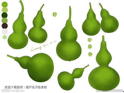 妈妈吃葫芦瓜图片,妈妈亲手烹饪的温馨滋味