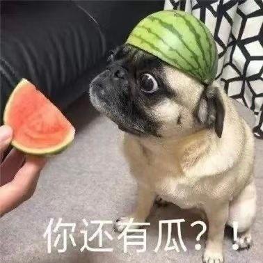 吃瓜乐秀,揭秘娱乐圈幕后故事，带你领略明星真实生活