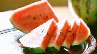 全高中吃啥瓜,揭秘校园里的那些“瓜”