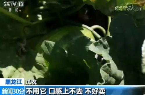 带你吃瓜快递,快递界的“吃瓜”风云