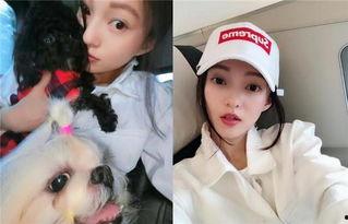 吃瓜群众耿直girl