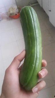 吃瓜生吃内脏,吃瓜者的新食尚