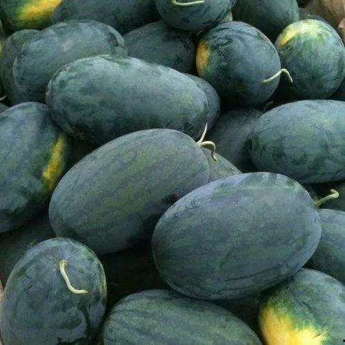 湖北荆州吃瓜,探寻湖北荆州的特色美食之旅